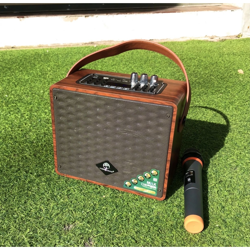 Cầm loa Karaoke