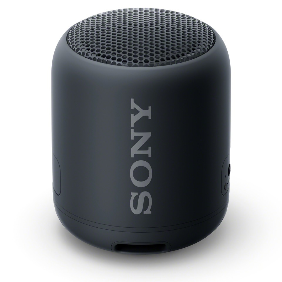 Cầm loa Sony